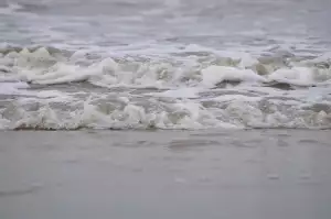 Vyplatí Se Životní Pojištění Diskuze