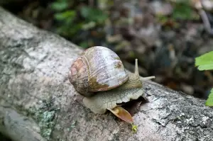 Zahradní Sprcha Svépomocí